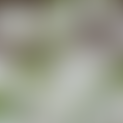 リスク管理|大切にしていること