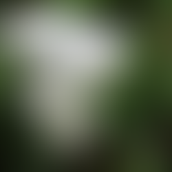 発信を継続的に行う|works