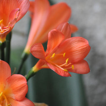 スケジュール管理|大切にしていること