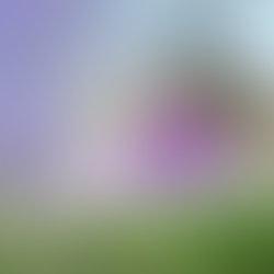 セールスポイントを見つけよう!