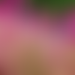 ショッピングモール型ECサイト とは?