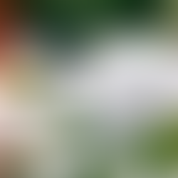 BtoB型ECサイト とは?