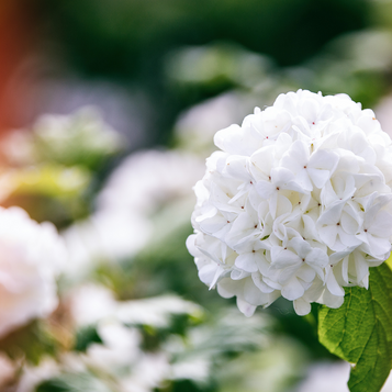 BtoB型ECサイト とは?