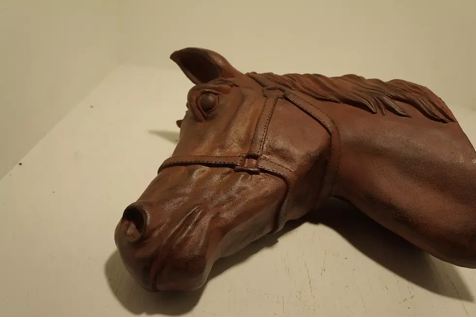 RED SHED HORSE HEAD