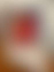 DVD Deal: AAFF HOLIDAY SALE!