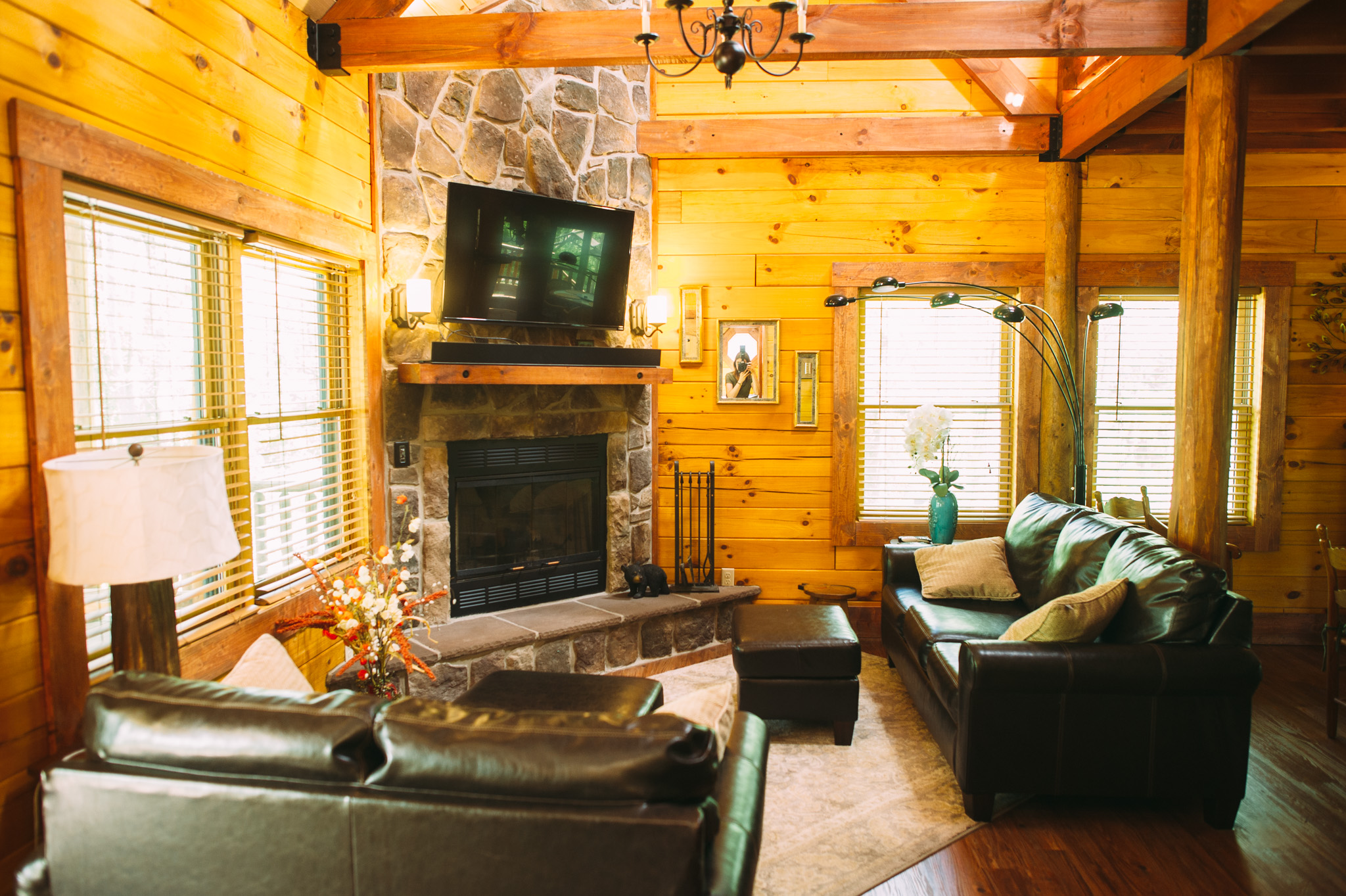 Cuddly Cub Living Room