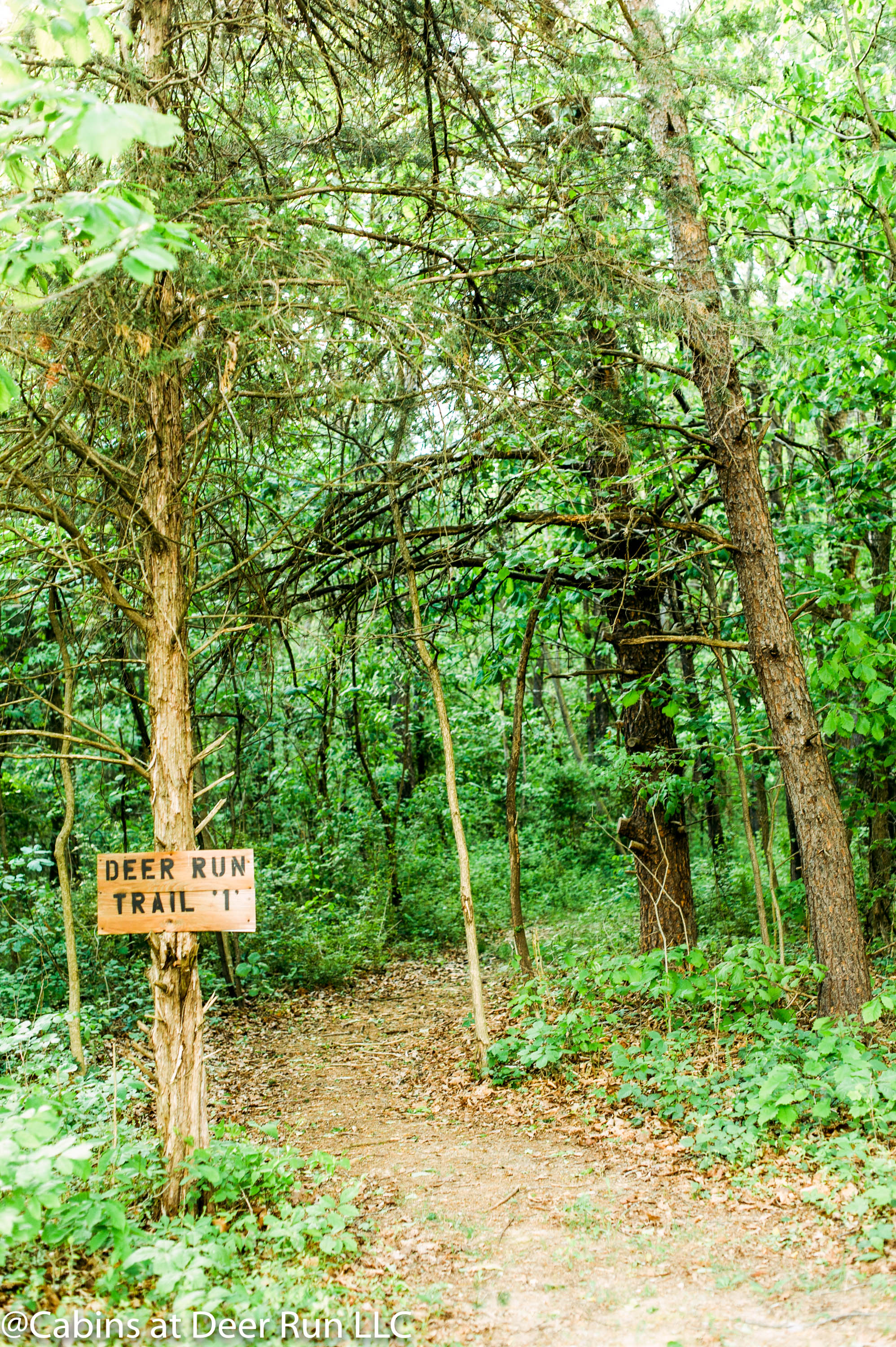 Cabins at Deer Run Trail