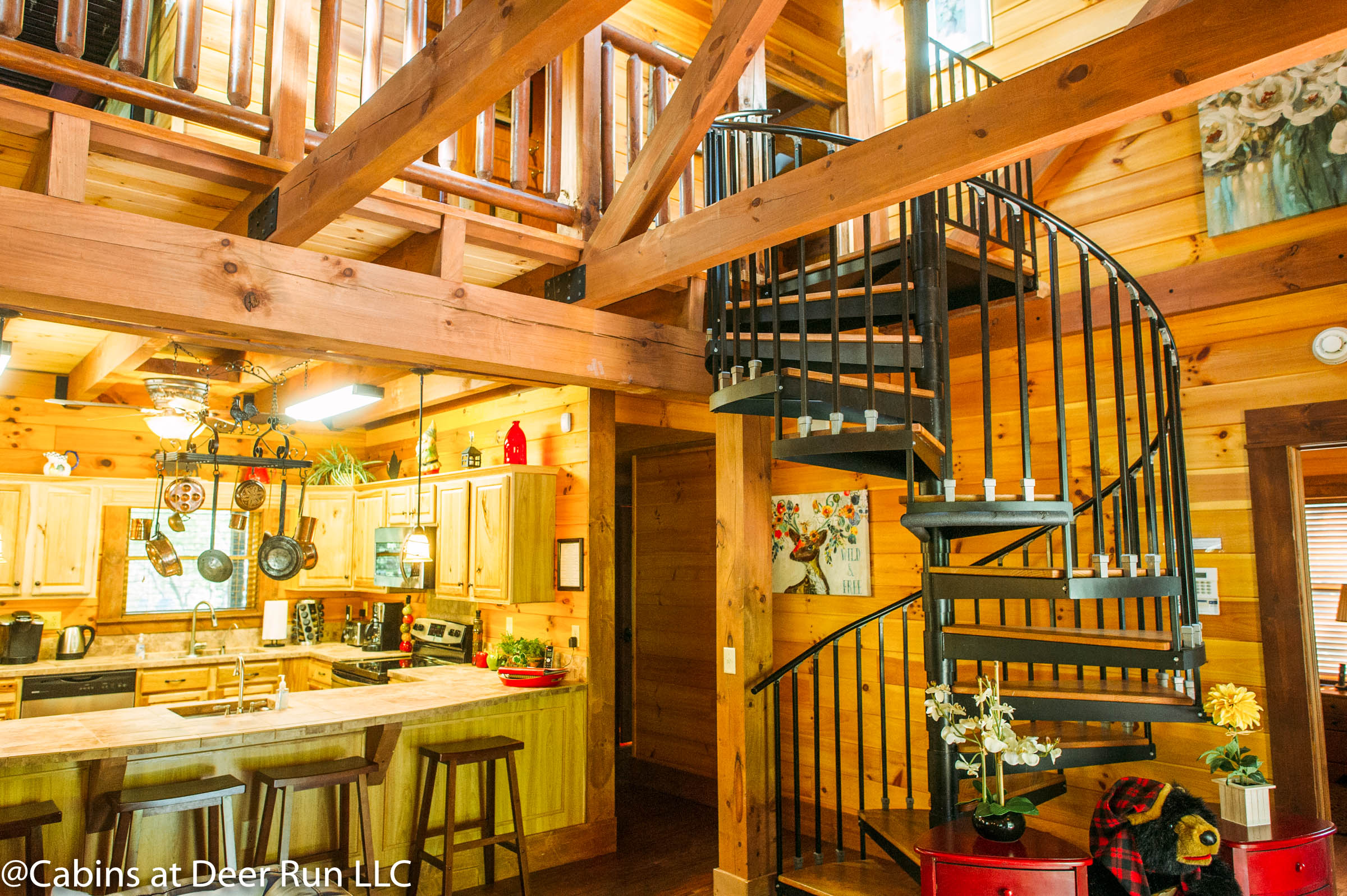 Spotted Fawn Spiral Stairs