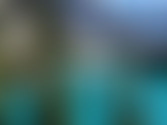 经济寒冬挡不住旅游热潮：为什么全球游客偏爱加拿大？