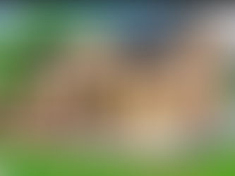 亚马逊与马斯克陆续推出小户型住宅计划，售价都不到6万美金，能否成影响加国未来地产？