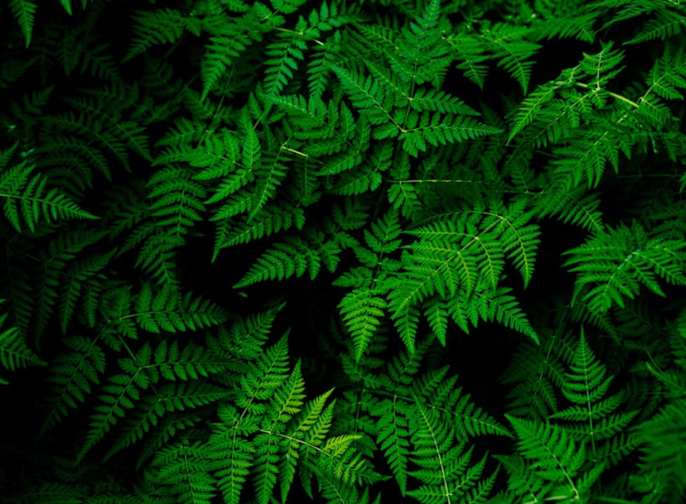 5835F224-D215-4B74-A27D-EF6E088354BD.jpeg