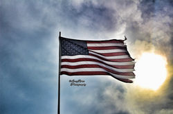 IMG_0713-01_wm