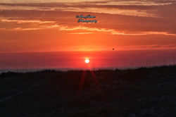 IMG_0650-01_wm