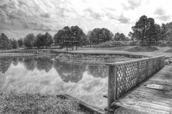 IMG_1002-01_wm