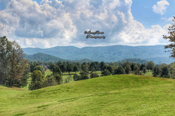 IMG_1062-01_wm