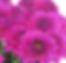 Thumbnail: Stratos