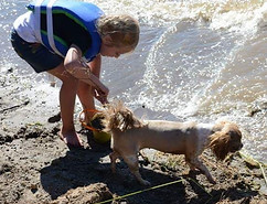 45647423_483444912162314_777408407499335