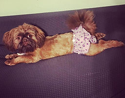 45631597_1128297570680335_11703787384838