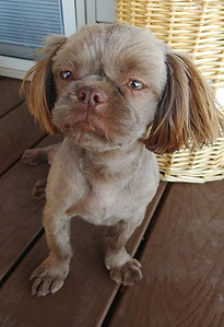 45494566_315499902514313_680271280078848