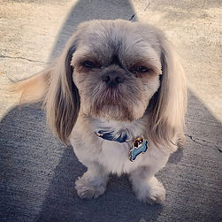 46087508_411634052705112_222056536839972