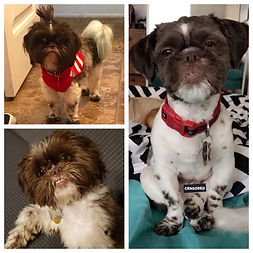 37100795_1038682452975181_82017036075322