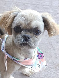 45620637_264188300948590_236575869634609