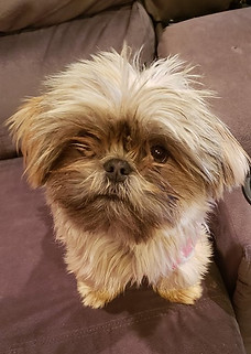 45308952_10160966017715133_6390998854996