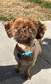 46136837_525101127901053_538304179523393