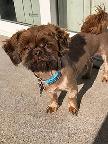 46076606_2120999844588501_38005605409719