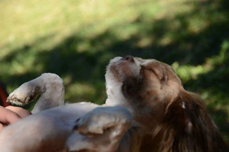 45500561_327444664505709_312456912278913