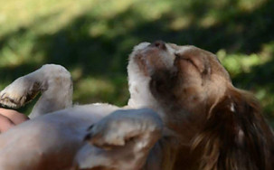 45500561_327444664505709_312456912278913