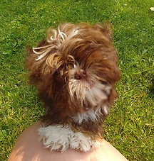 45449516_10160966079630133_4534271174242