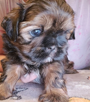 49603561_695037637563957_690666765234995