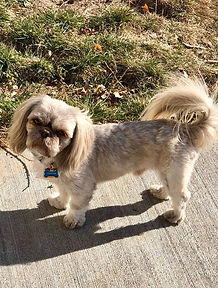 46073971_774241279574244_235326224418524