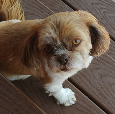 45474466_277934156167036_840657858125312