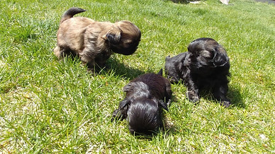 45360651_10160966089920133_1430171131146