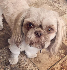 46058290_558749424597798_594300002905568