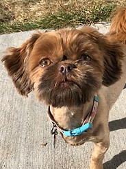 45870494_2228082084116208_66621993422222