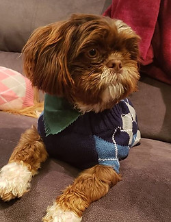 45464357_300924624078980_150238900477388