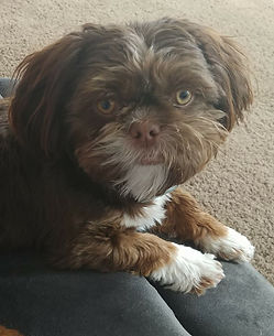 32864622_10160318007890133_7572334604808