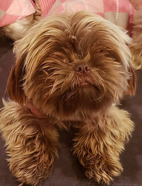 45332740_10160966017830133_3989228502846