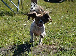 45437235_760536474282022_789777595913732