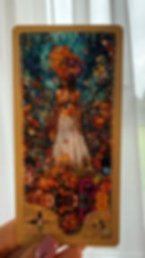 WhatsApp Image 2025-10-05 at 14.09.21 (1).jpeg