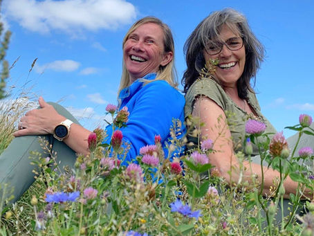 Wandering in Wiltshire - Morgan's Hill and Calstone Downs