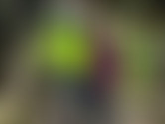 The Three Castles Path - Day 5