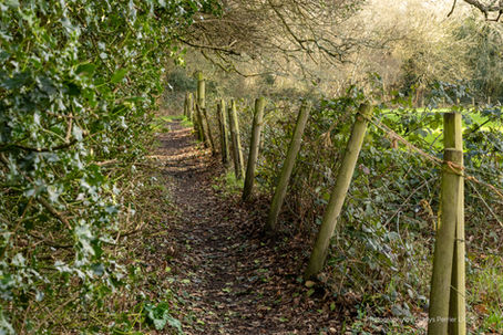 The Three Castles Path - Day 2 