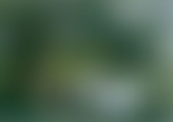 The Thames Path - Day 8