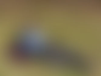 The Three Castles Path - Day 4