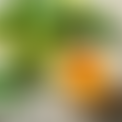 The Science-Backed Benefits of Garcinia Cambogia, Green Tea, and Chromium for Weight Loss and Overall Health