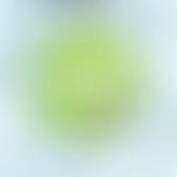 Un forum des aidants le 3 octobre prochain !